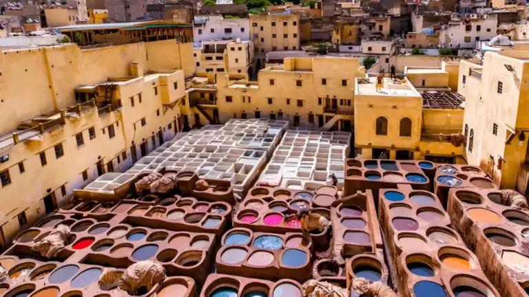 Chouara Tannery, Fes, Morocco