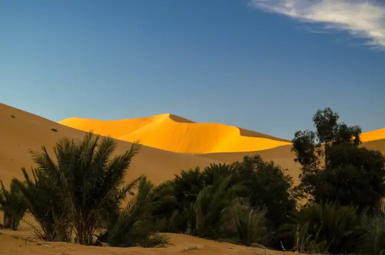 Dayet Srji, the Sahara Desert, Morocco