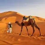 Erg Chebbi dunes, the Sahara Desert, Morocco