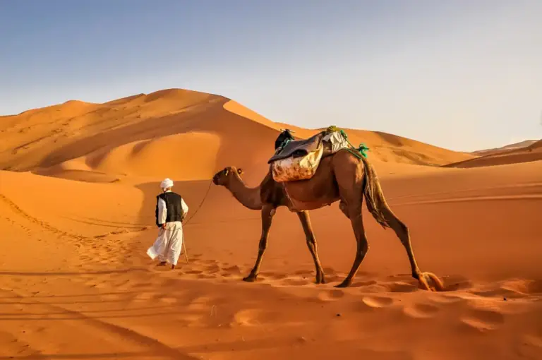 Erg Chebbi dunes, the Sahara Desert, Morocco