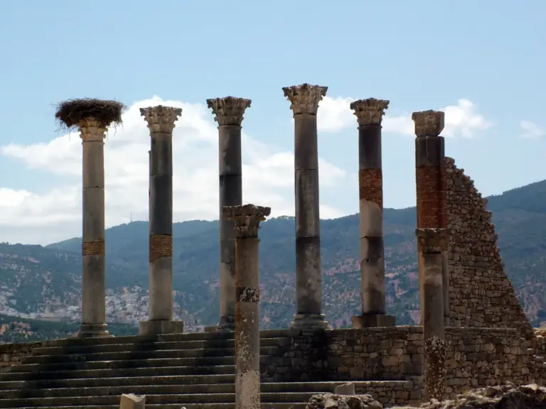 Roman columns and stork nests in the ruins of Volubilis near Meknes