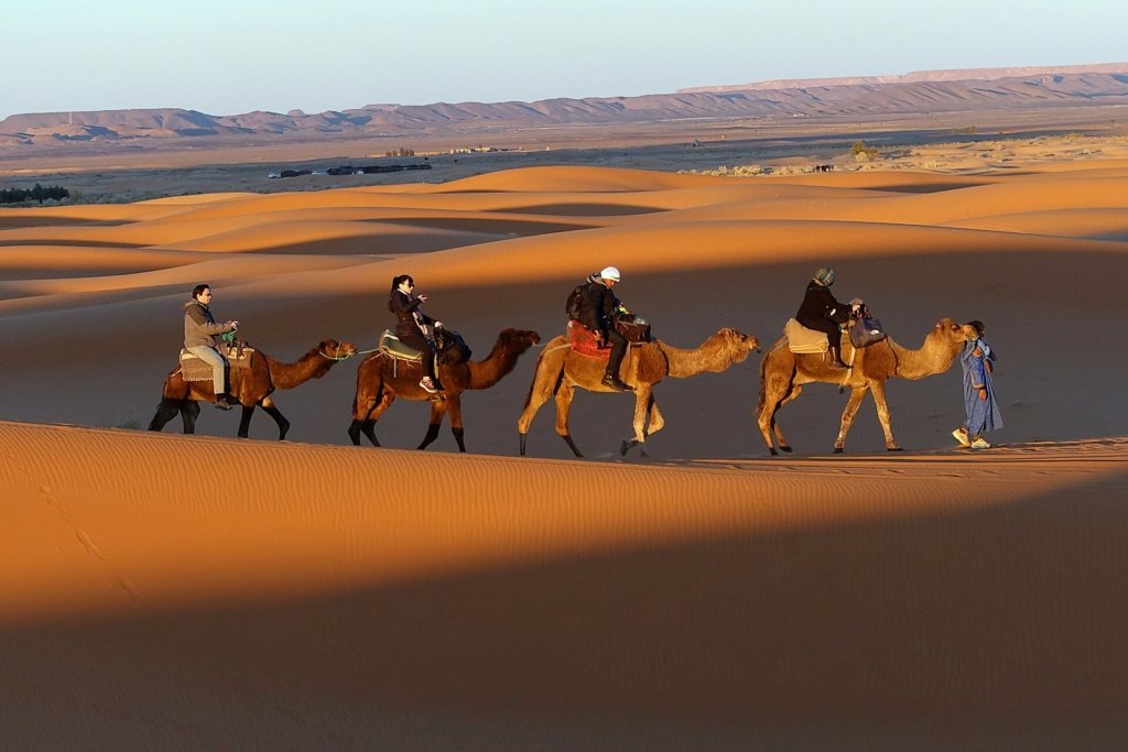 Morocco group trip: a small group of travelers on a camel ride in the Erg Chebbi dunes with a local guide