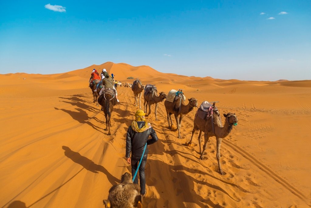 Morocco student tours: a group on a camel trek in the Sahara dunes with a local guide